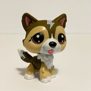 4/$20 Littlest Pet Shop LPS Puppy Dog Animal Hasbro Figure 2024 🛑